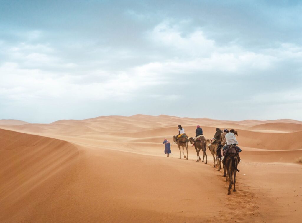 rondreis-marokko-per-kameel-travel-around