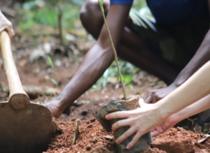 Rondreis-Sri_lanka-Forest-Healing-Foundation-Travel-Around