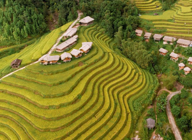rondreis-vietnam-homestay-ricefields-travel-around